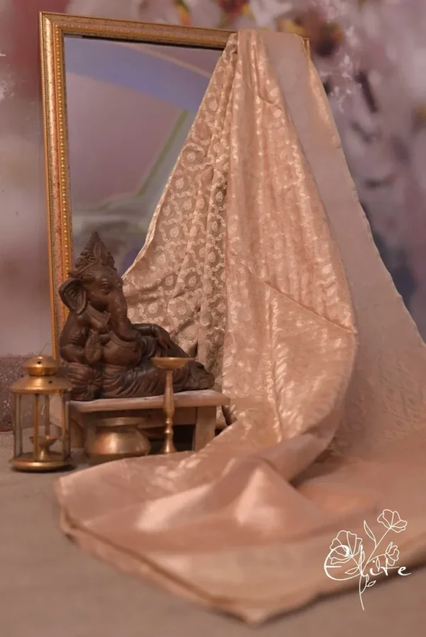 Pure katan Silk Handwoven Benarasi jall design Biscuit Saree