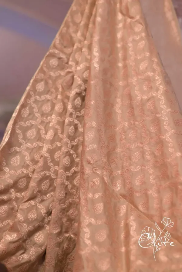 Pure katan Silk Handwoven Benarasi jall design Biscuit Saree