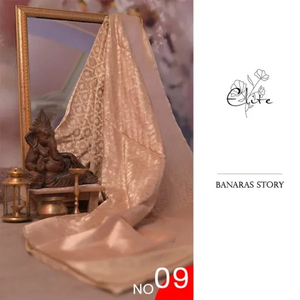 Pure katan Silk Handwoven Benarasi jall design Biscuit Saree