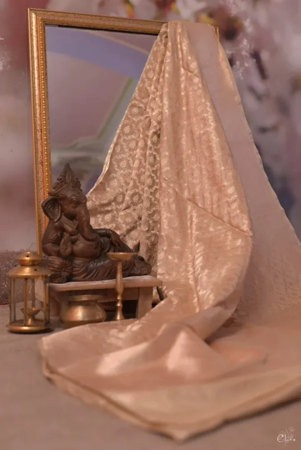 Pure katan Silk Handwoven Benarasi jall design Biscuit Saree