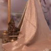 Pure katan Silk Handwoven Benarasi jall design Biscuit Saree