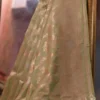 Pure katan Silk Handwoven Mina Benarasi golden jall Olive Saree