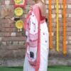 White on Black and Red Kulo Pure cotton Saree