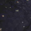 Black with Golden Border Tanchuee work on Kora silk saree