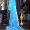 Ocean blue parsi embroidery cut work border Organza silk saree
