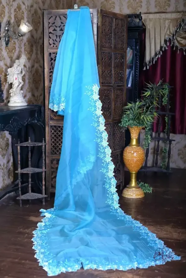 Ocean blue parsi embroidery cut work border Organza silk saree