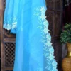 Ocean blue parsi embroidery cut work border Organza silk saree