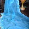 Ocean blue parsi embroidery cut work border Organza silk saree