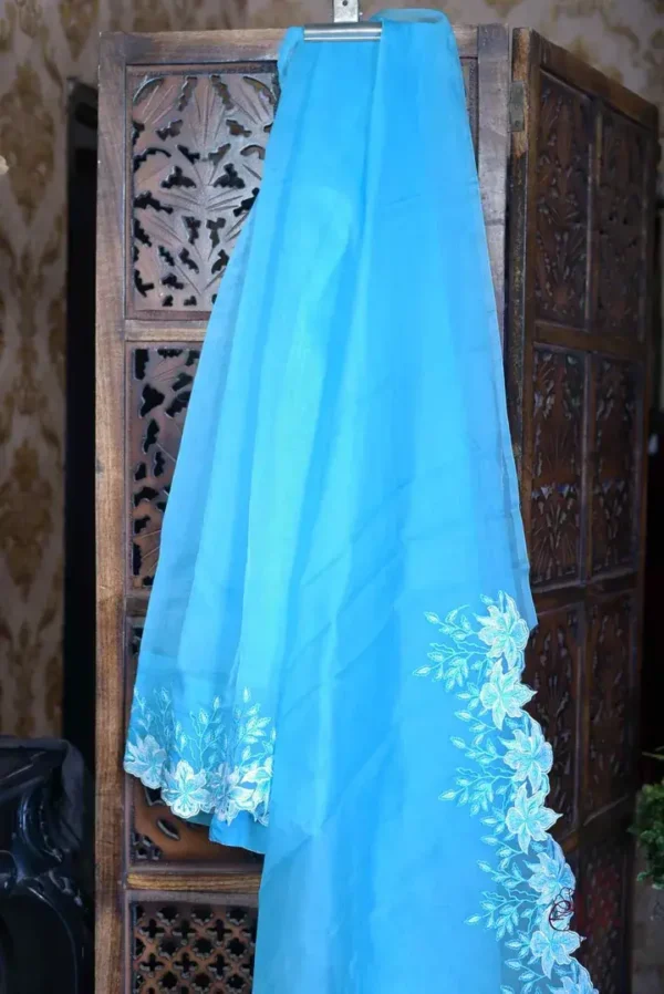 Ocean blue parsi embroidery cut work border Organza silk saree