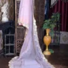 Peach parsi embroidery cut work border Organza silk saree