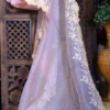 Peach parsi embroidery cut work border Organza silk saree