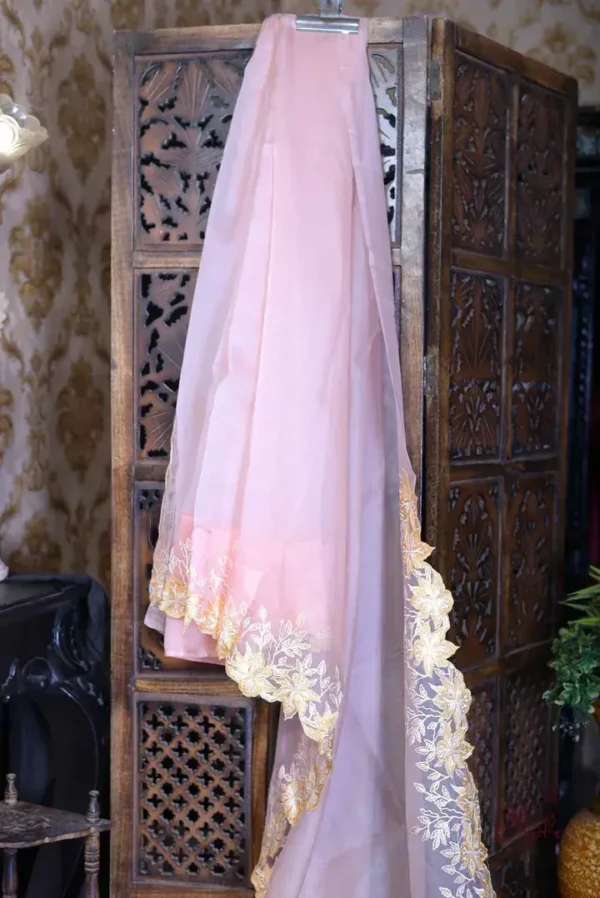 Peach parsi embroidery cut work border Organza silk saree