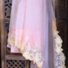 Peach parsi embroidery cut work border Organza silk saree