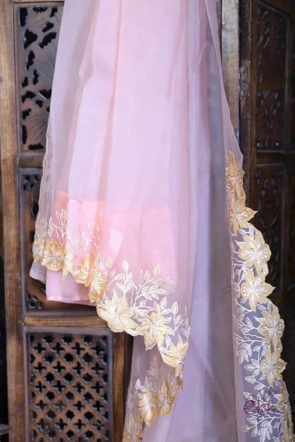 Peach parsi embroidery cut work border Organza silk saree