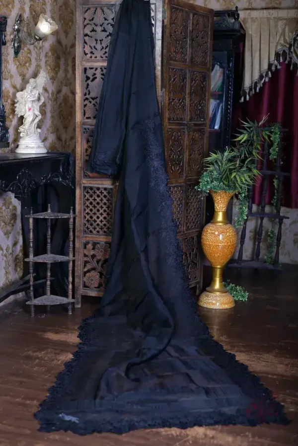Black parsi embroidery cut work border Organza silk saree