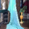 Cyan blue Organza parsi embroidery cut work border Organza silk saree