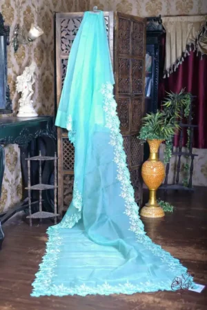 Cyan blue Organza parsi embroidery cut work border Organza silk saree
