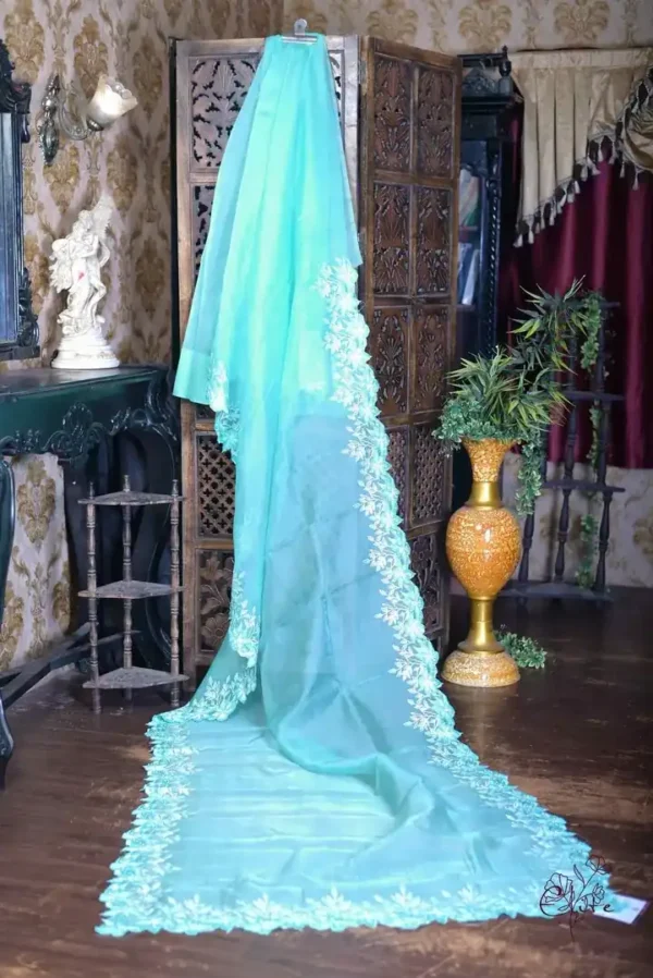 Cyan blue Organza parsi embroidery cut work border Organza silk saree