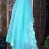 Cyan blue Organza parsi embroidery cut work border Organza silk saree