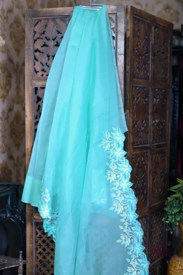 Cyan blue Organza parsi embroidery cut work border Organza silk saree