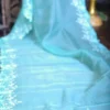 Cyan blue Organza parsi embroidery cut work border Organza silk saree