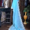 Sky blue parsi embroidery cut work border Organza silk saree