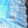 Sky blue parsi embroidery cut work border Organza silk saree