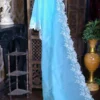 Sky blue parsi embroidery cut work border Organza silk saree