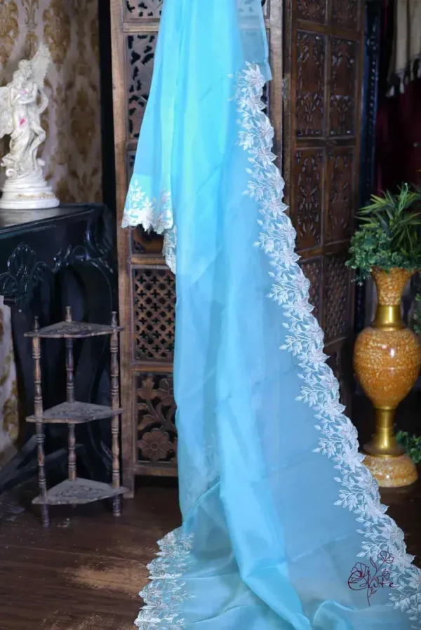 Sky blue parsi embroidery cut work border Organza silk saree