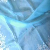 Sky blue parsi embroidery cut work border Organza silk saree