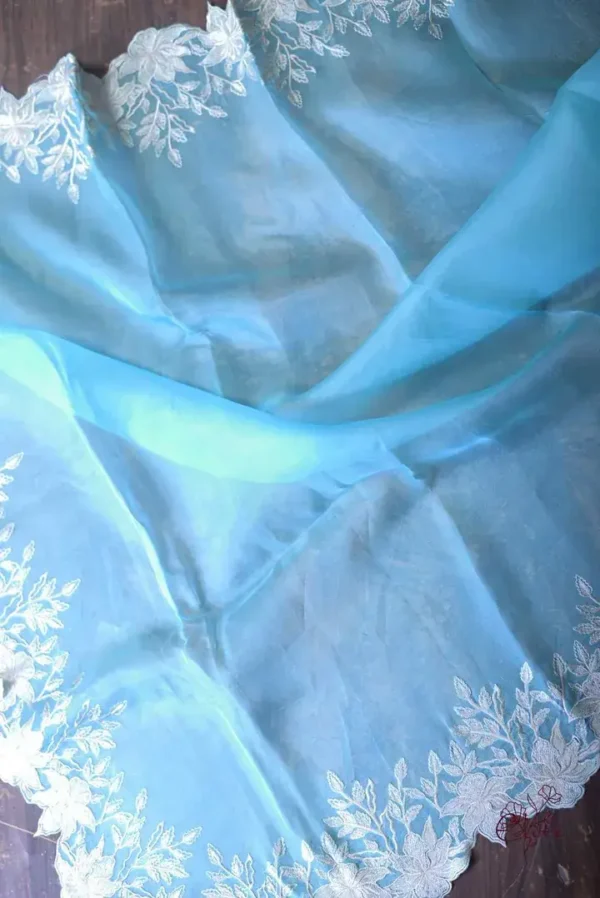 Sky blue parsi embroidery cut work border Organza silk saree