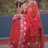 Red with white Embroidery cut work Border on Organza Saree