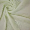Pesta green hand embroidery with mukaish work pure Organza saree