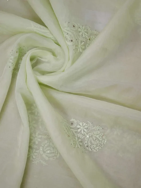 Pesta green hand embroidery with mukaish work pure Organza saree
