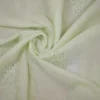 Pesta green hand embroidery with mukaish work pure Organza saree