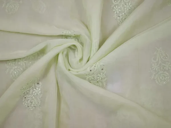 Pesta green hand embroidery with mukaish work pure Organza saree