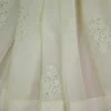 Pesta green hand embroidery with mukaish work pure Organza saree
