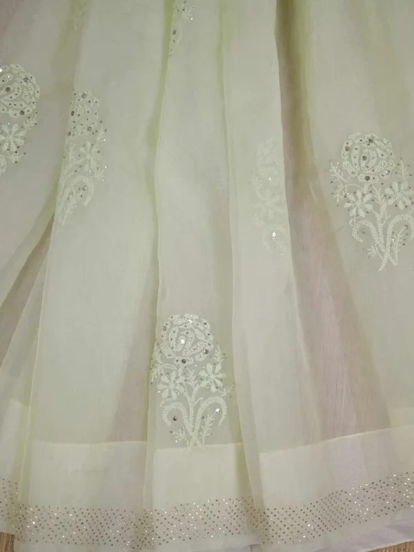 Pesta green hand embroidery with mukaish work pure Organza saree