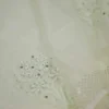 Pesta green hand embroidery with mukaish work pure Organza saree