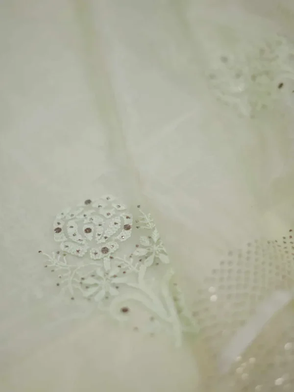 Pesta green hand embroidery with mukaish work pure Organza saree