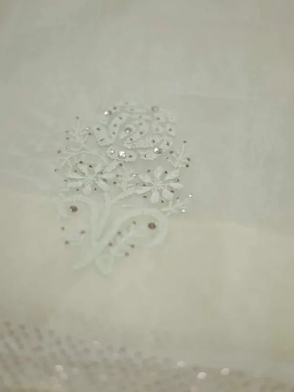 Pesta green hand embroidery with mukaish work pure Organza saree