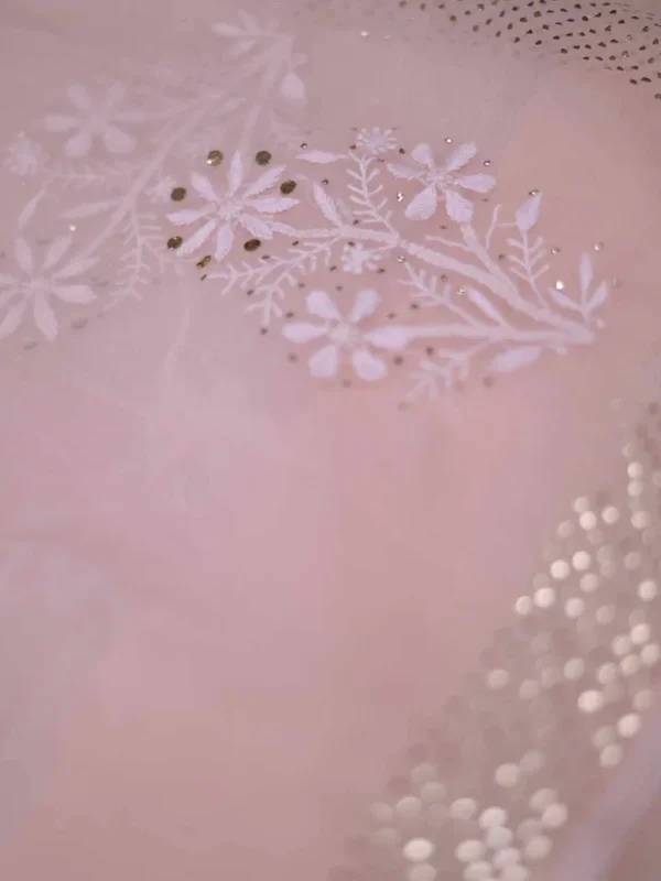 light Peach hand embroidery with mukaish work pure Organza saree