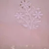 light Peach hand embroidery with mukaish work pure Organza saree