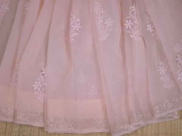 light Peach hand embroidery with mukaish work pure Organza saree