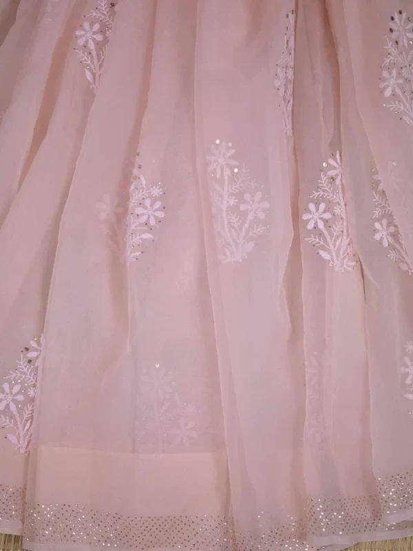 light Peach hand embroidery with mukaish work pure Organza saree