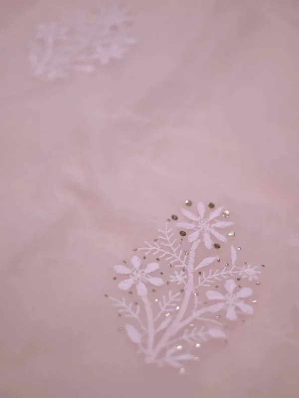light Peach hand embroidery with mukaish work pure Organza saree