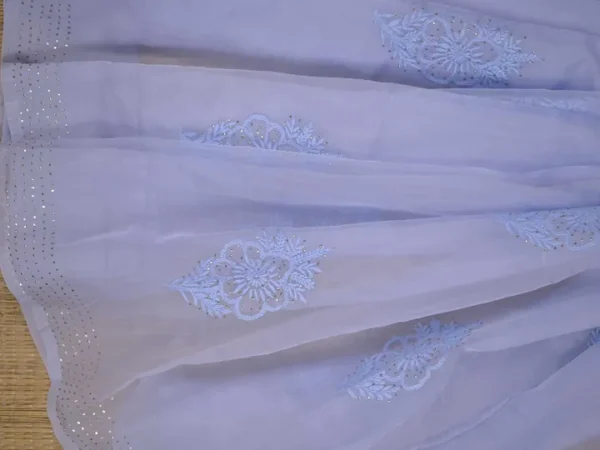 Sky blue hand embroidery with mukaish work pure Organza saree