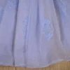 Sky blue hand embroidery with mukaish work pure Organza saree