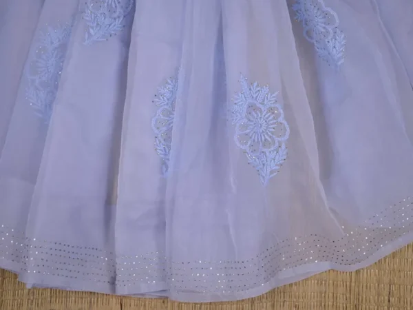 Sky blue hand embroidery with mukaish work pure Organza saree