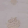 Cream hand embroidery with mukaish work pure Organza saree